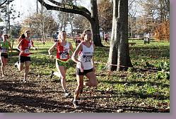 Begles 15.12.13 01 707 * 679 x 453 * (215KB)